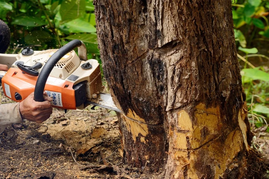 Expert Tree Removal Service in Fenton, MO: Keeping Your Landscape Safe and Beautiful Expert Tree Removal Service in Fenton, MO Keeping Your Landscape Safe and Beautiful